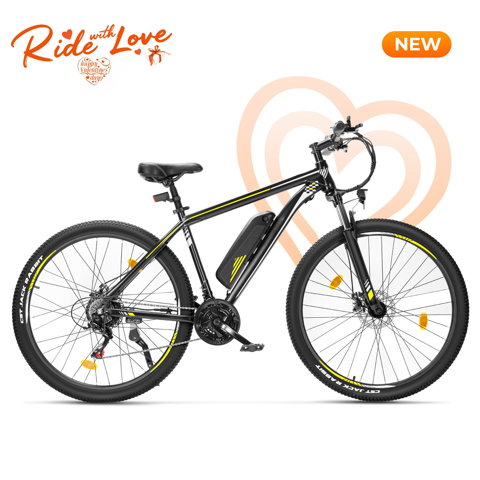 Bicycle La Bici Senza Raggi Bicicletta Senza Raggi E Mozzo Touroll