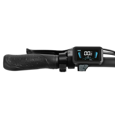 Touroll S2/S2 Pro Folding Fat Tire Electric Bike