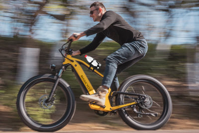 Portaborraccia per bici elettriche WestBiking adatti per bici elettriche senza viti