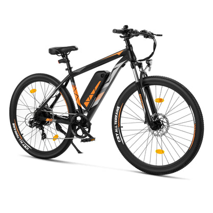 Touroll U2 Pro Mountainbike Elektrofahrrad